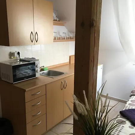 Ubytovani U Evy,atc Merkur بيت ضيافة *